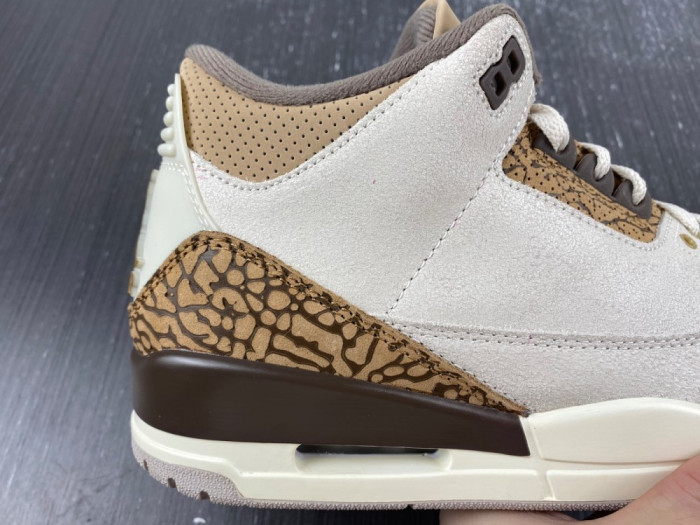 Air Jordan 3 “Palomino” CT8532-102